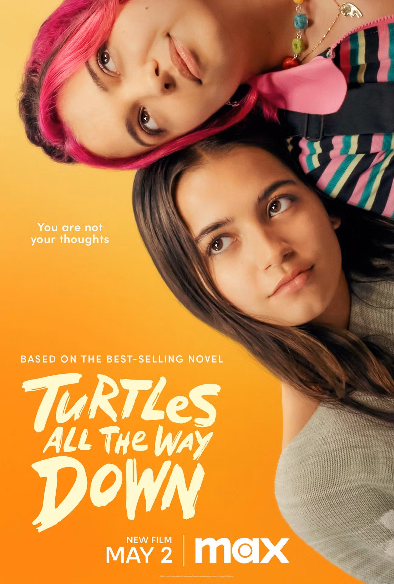 Turtles All the Way Down